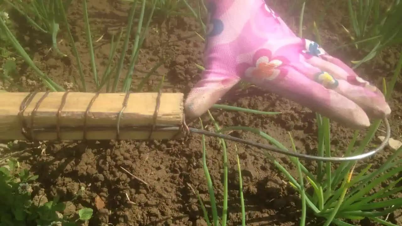 Vyrobte si tento šikovný nástroj na odstraňovanie buriny: Jednoduchá pomôcka, vďaka ktorej sa zbavíte buriny v hriadkach oveľa jednoduchšie!