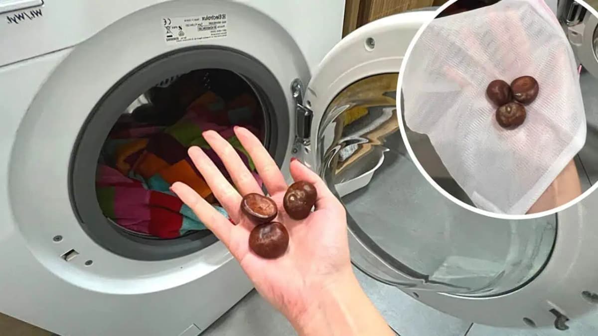 Toto je dobrý DÔVOD, prečo treba dať do práčky aj 3 GAŠTANY: Mám odskúšané, funguje to!