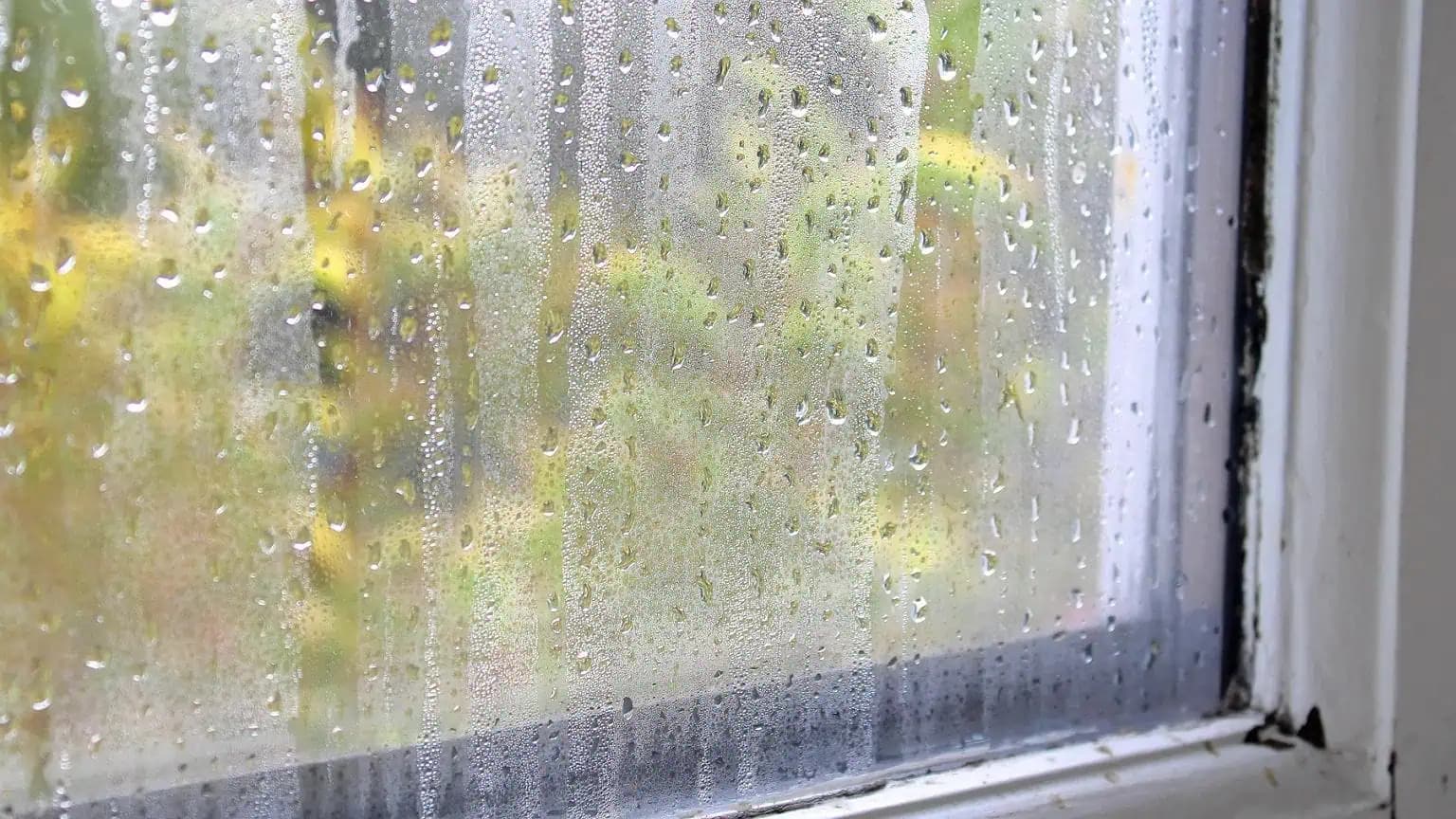 Stojí ma len 40 CENTOV a funguje ako DRAHÝ odvlhčovač vzduchu: Len to položte k oknu!