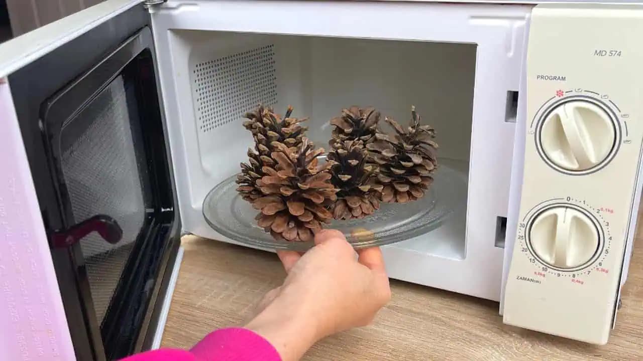 Vezmite obyčajné šišky a dajte ich na pár minút do mikrovlnky: NEUVERÍTE, akú nádheru z toho môžete mať!