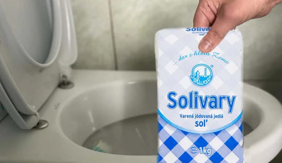 Dôvod, prečo treba do záchoda nasypať soľ poznajú len skúsené gazdinky: Teraz to budete pravidelne!