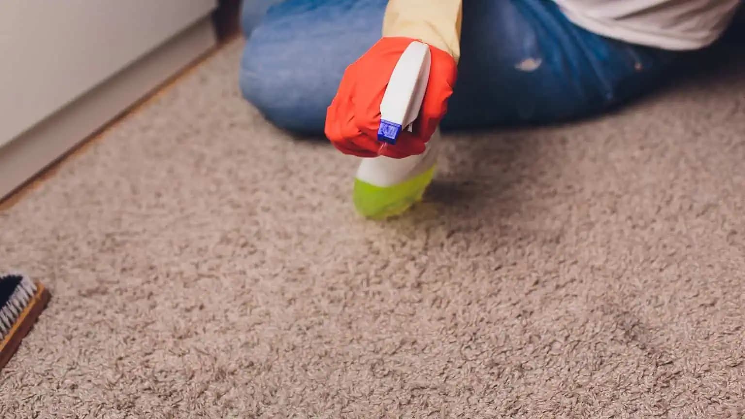 Profesionálna upratovačka poradila NAJLEPŠÍ trik, ako vyčistiť koberec: Zabudnite na sódu bikarbónu, toto je oveľa lepšie!