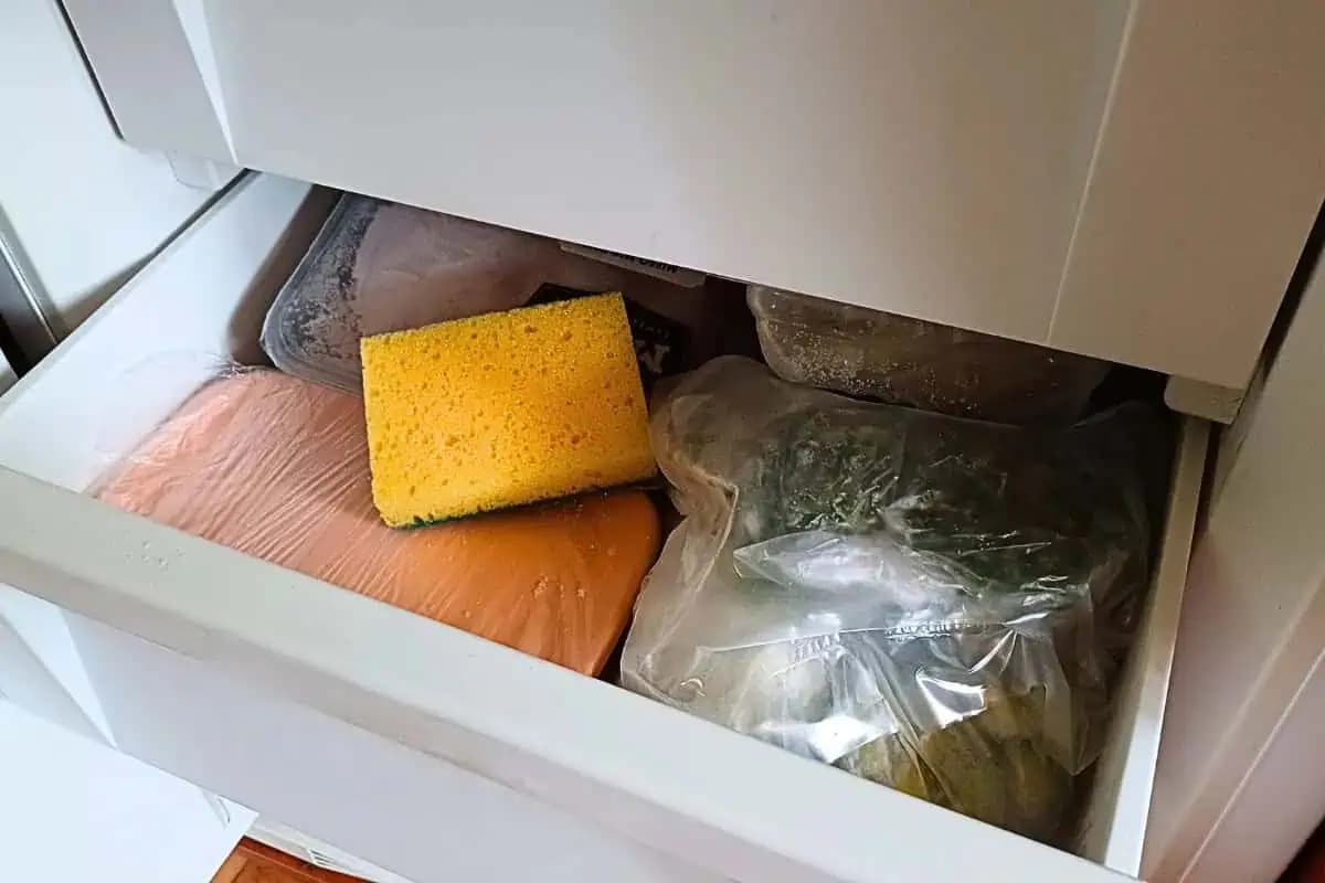 Moja mama dáva do mrazničky obyčajnú hubku na riad: Odkedy poznám dôvod, ušetrila som si veľa starostí!