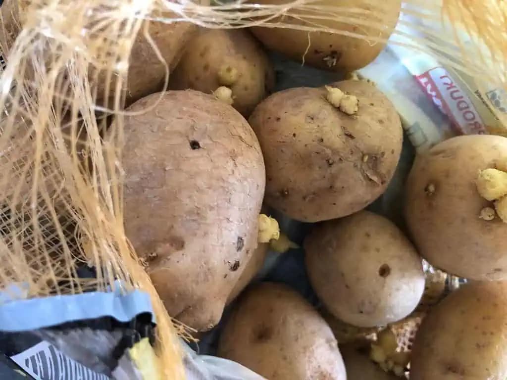 Nikdy nejedzte zemiaky TAKTO: Určite vás bude bolieť žalúdok a to nie je všetko!