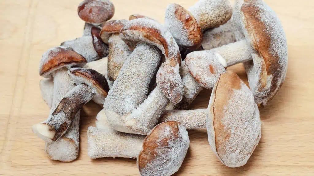 Viete, ako ZMRAZIŤ lesné huby na zimu? Vďaka TOMUTO tipu si dlho udržia svoju chuť a budú ako čerstvé!