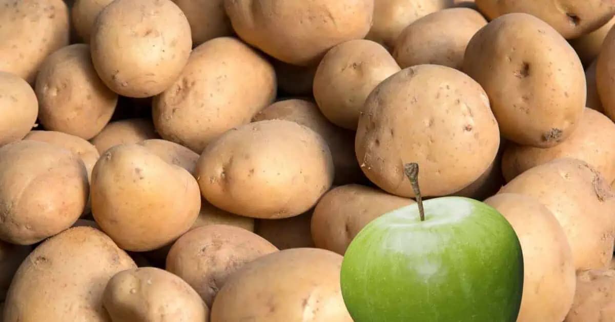 Trik, ktorý skoro nikto každý pozná: S naklíčenými zemiakmi sa môžete raz a navždy rozlúčiť!