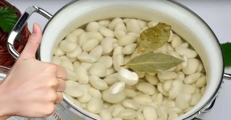 FINTA, vďaka ktorej uvaríte fazuľu až osemkrát rýchlejšie a už vás z nej NIKDY nebude nadúvať!