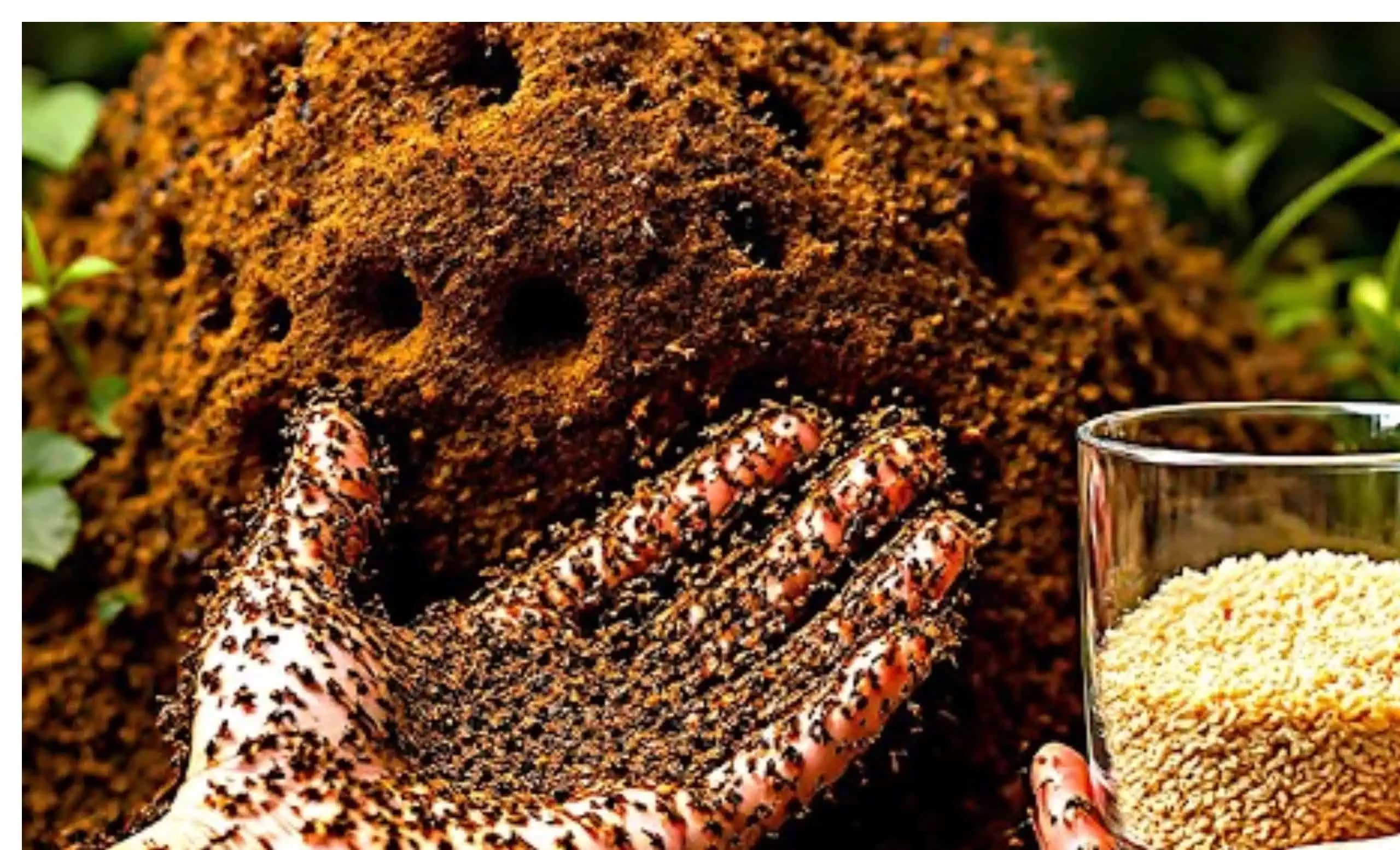 Za 10 minút zlikviduje mravce aj mravenisko! Vyžeňte ich zo svojho domu a záhrady raz a navždy!