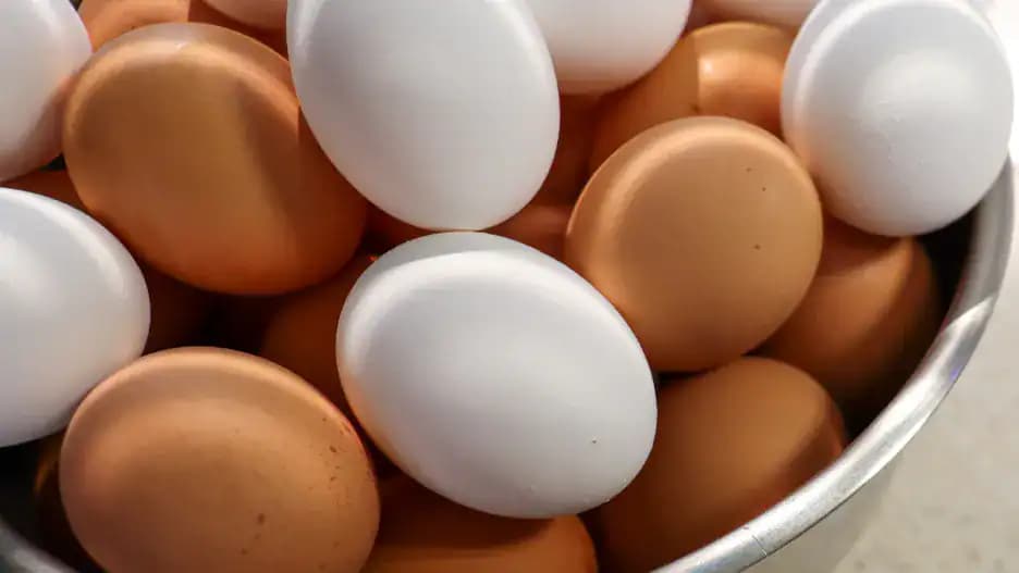 Sú lepšie biele alebo hnedé vajcia? Mnoho ľudí to stále netuší!