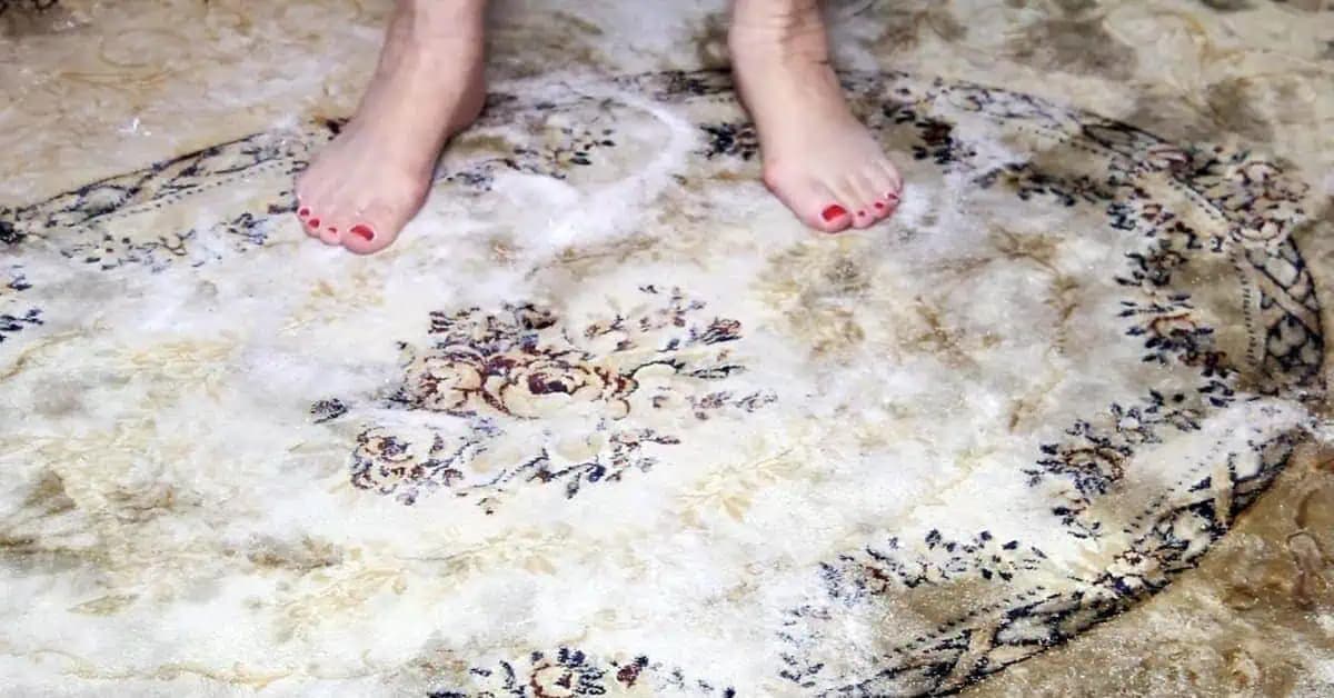 Skúsila som vyčistiť všetky koberce podľa svokrinej rady NA SUCHO: Z koberca to vytiahlo prach, zápach a všetku špinu!