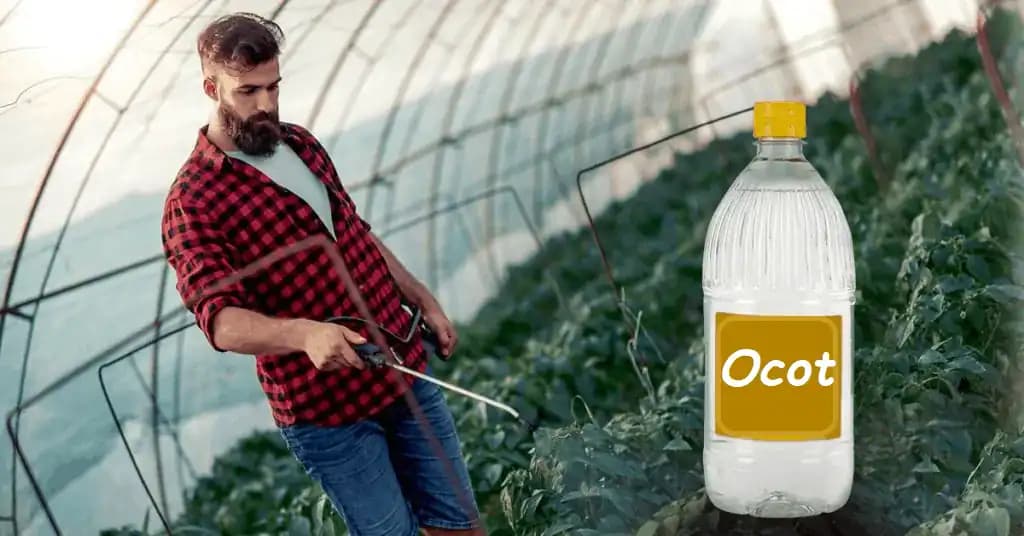 7 nezvyčajných spôsobov, ako využiť ocot v záhonoch a na záhrade: Záhradkari, toto si zapamätajte na celý rok!