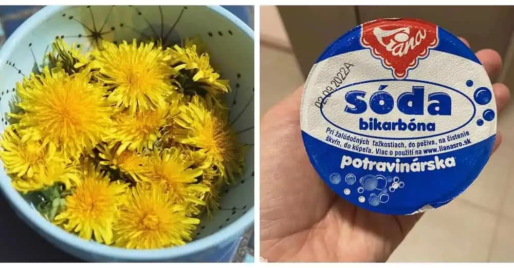 Zmiešajte púpavu s obyčajnou SÓDOU a navždy zabudnite na diéty a drahé prípravky na chudnutie: TU je recept a toto dokáže!