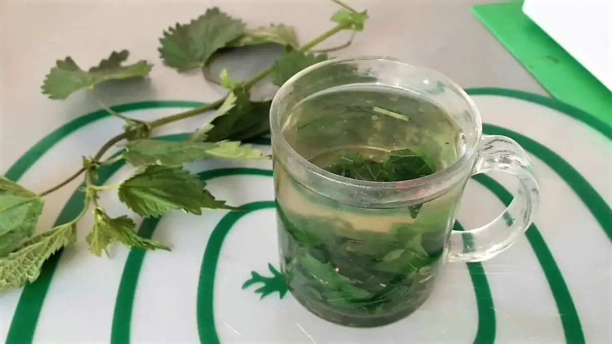 Moja starká pozná ZÁZRAČNÝ domáci recept, ktorý vyplaví z tela všetko zlé: Pijem to len 2 týždne a TOTO všetko sa zmenilo!