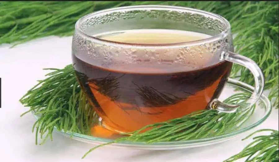 Čaj z prasličky roľnej skutočne odstráni kyselinu močovú z tela: TU je recept!