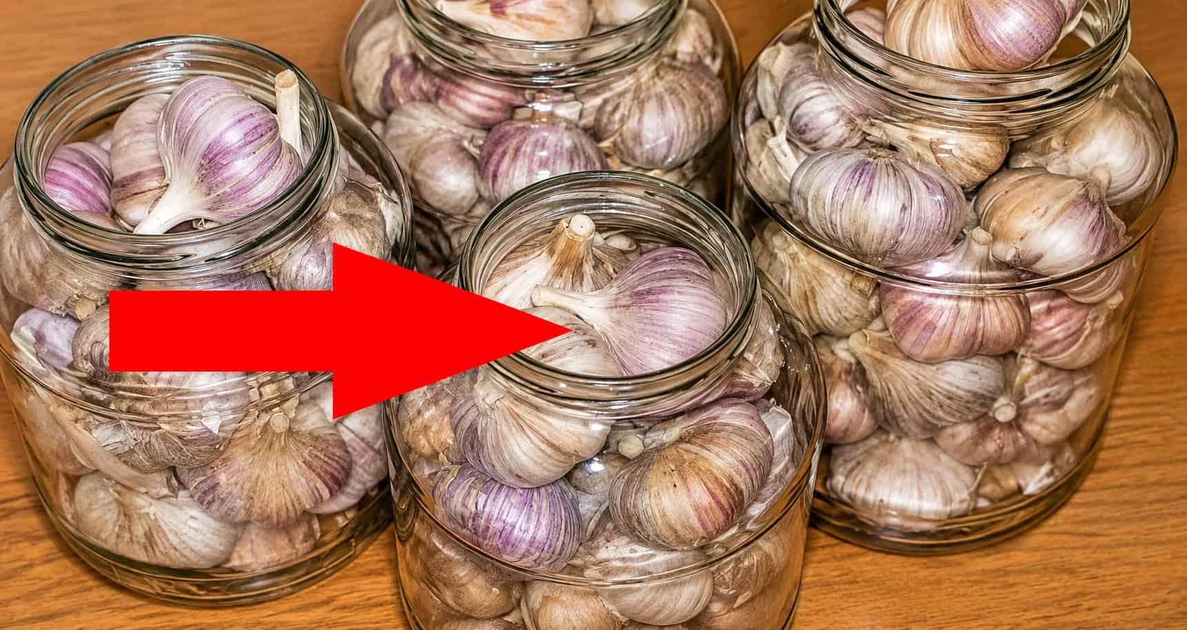 Najlepšia rada, ako uchovať cesnak na celý rok: Šťavnatý, voňavý a presne ako čerstvý + tip, ako skladovať kupovaný cesnak a cibuľu!