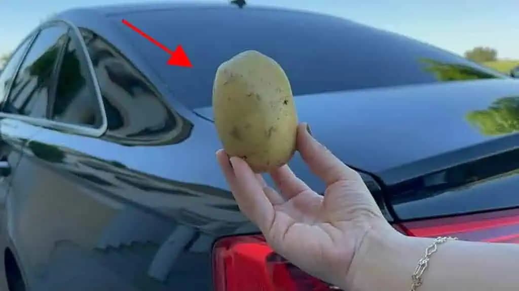 Mať 1 zemiak v aute vám môže zachrániť život a nikto vám o tom nepovie!