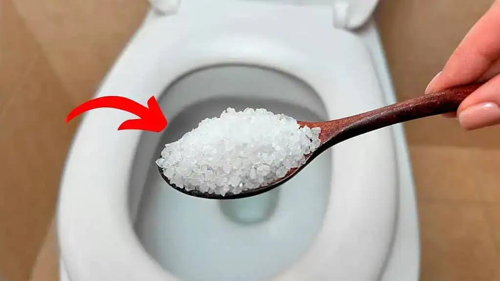 Nasypte SOĽ do toalety: Úžasné, čo sa stane po chvíli!