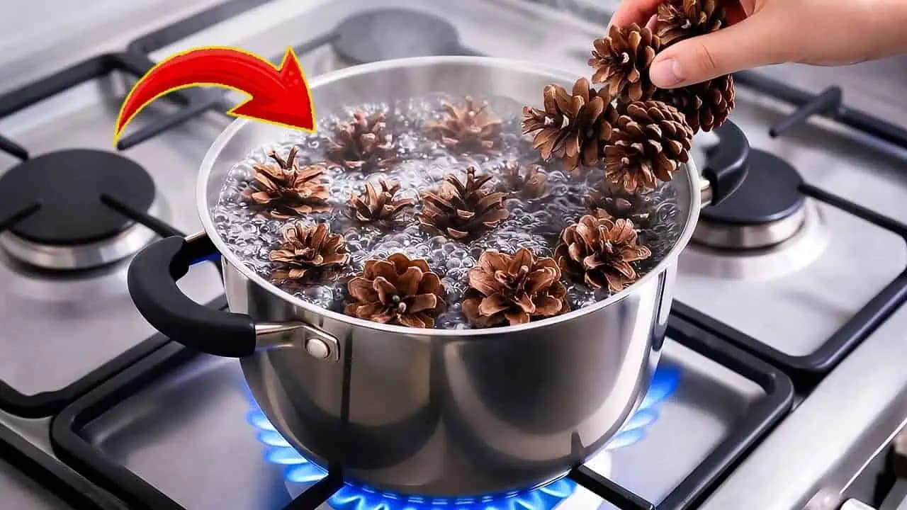 Dajte šišky do vriacej vody pre tento fantastický domáci trik!